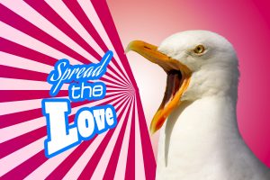 Share the love seagull